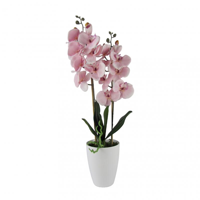 Storczyki różowe w doniczce 60cm